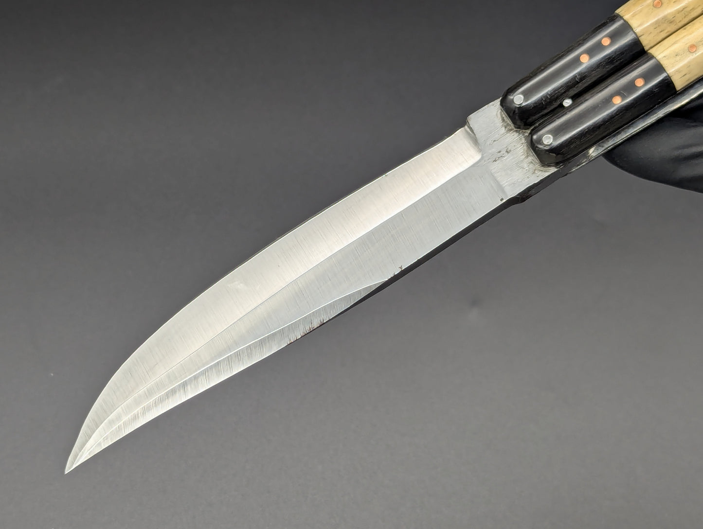 FHM BALISONG AGED BONE & CARABOA HORN 11" OL CLIP POINT BLADE