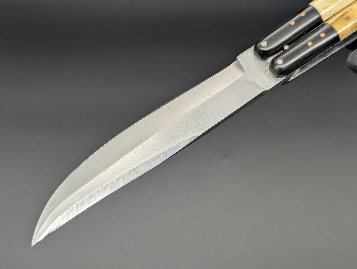 11" AGED BONE CARABOA HORN CLIP POINT BLADE TAAL BATANGAS PHILIPPINES