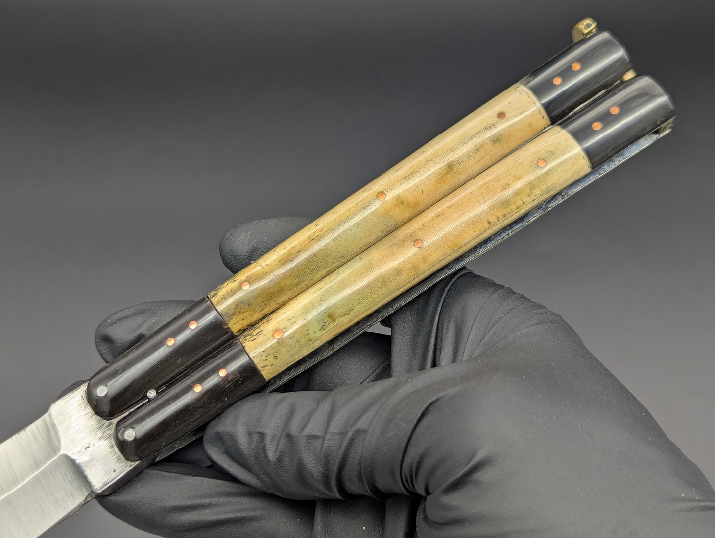 11" AGED BONE CARABOA HORN CLIP POINT BLADE TAAL BATANGAS PHILIPPINES