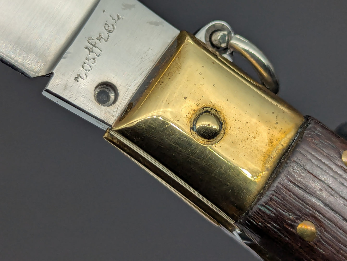 8" JAGUAR ITALIAN SHELL PULLER HUNTING KNIFE WOOD & BRASS